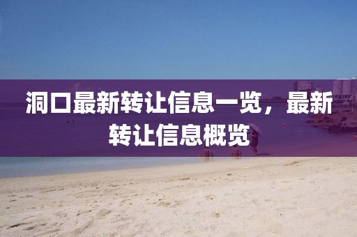 洞口最新转让信息一览，最新转让信息概览