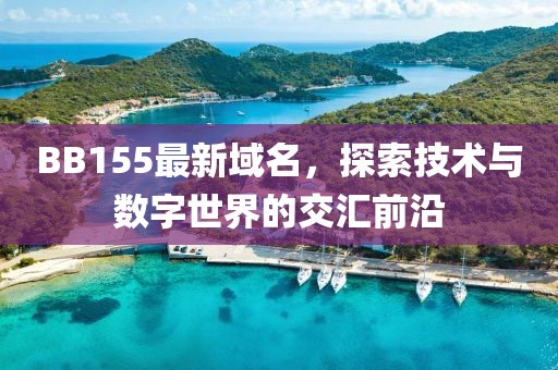 BB155最新域名，探索技术与数字世界的交汇前沿