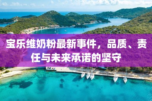 宝乐维奶粉最新事件，品质、责任与未来承诺的坚守
