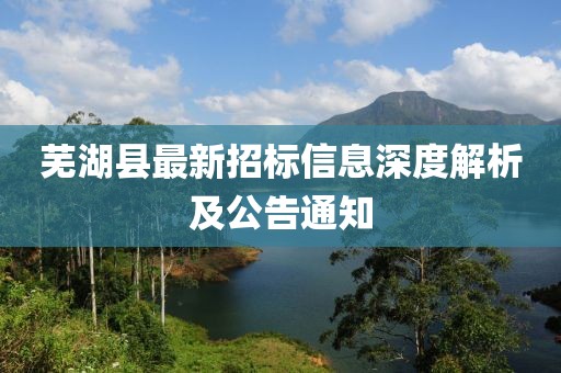 芜湖县最新招标信息深度解析及公告通知
