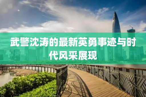 武警沈涛的最新英勇事迹与时代风采展现