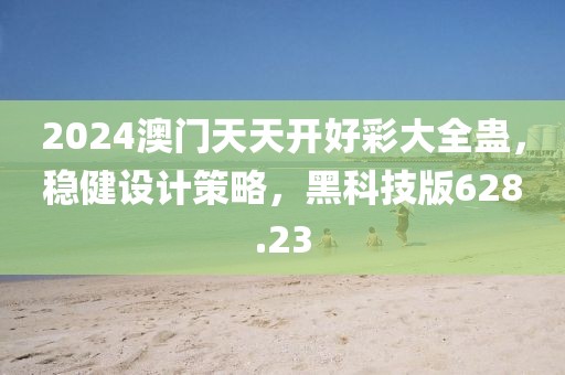 2024澳门天天开好彩大全蛊，稳健设计策略，黑科技版628.23