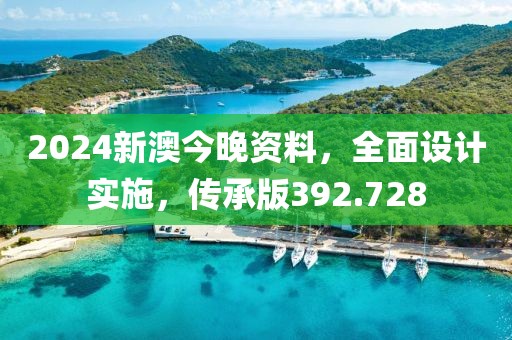2024新澳今晚资料，全面设计实施，传承版392.728