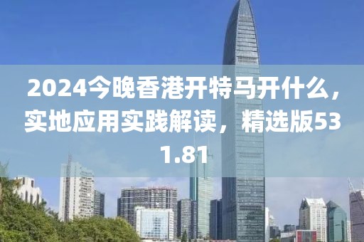 2024今晚香港开特马开什么，实地应用实践解读，精选版531.81