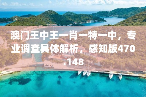 澳门王中王一肖一特一中，专业调查具体解析，感知版470.148