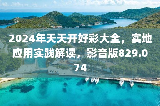 2024年天天开好彩大全，实地应用实践解读，影音版829.074