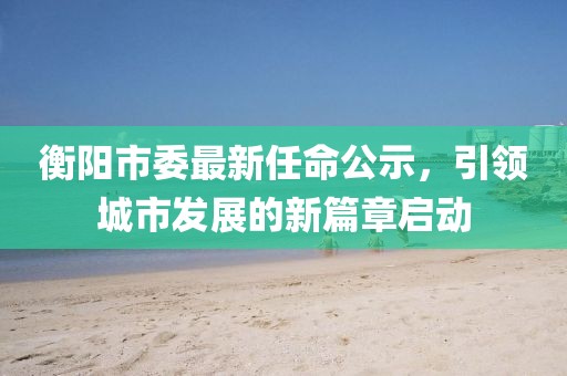 衡阳市委最新任命公示，引领城市发展的新篇章启动