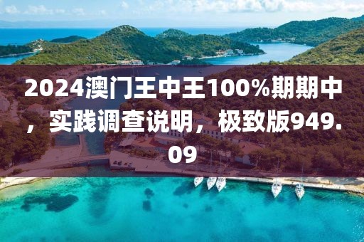 2024澳门王中王100%期期中，实践调查说明，极致版949.09
