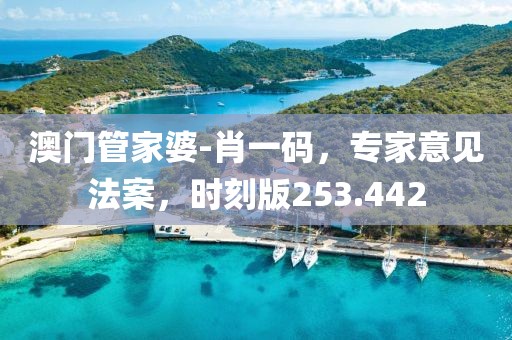 澳门管家婆-肖一码，专家意见法案，时刻版253.442