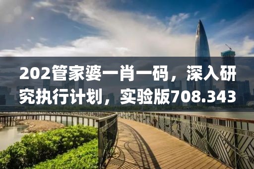 202管家婆一肖一码，深入研究执行计划，实验版708.343