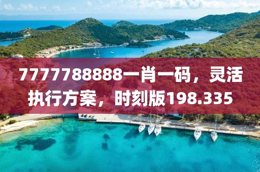7777788888一肖一码，灵活执行方案，时刻版198.335