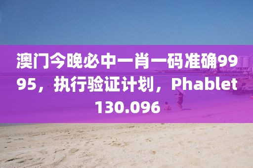 澳门今晚必中一肖一码准确9995，执行验证计划，Phablet130.096