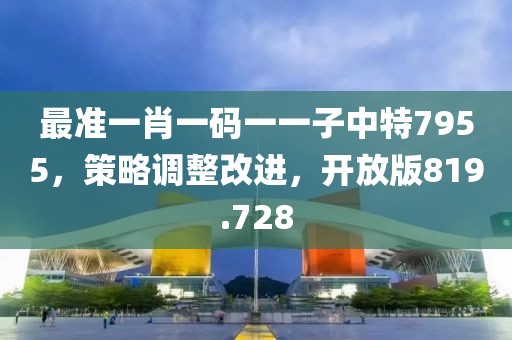 最准一肖一码一一子中特7955，策略调整改进，开放版819.728