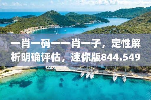 一肖一码一一肖一子，定性解析明确评估，迷你版844.549