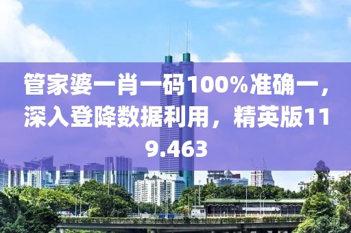 管家婆一肖一码100%准确一，深入登降数据利用，精英版119.463