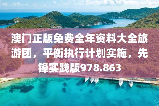 澳门正版免费全年资料大全旅游团，平衡执行计划实施，先锋实践版978.863