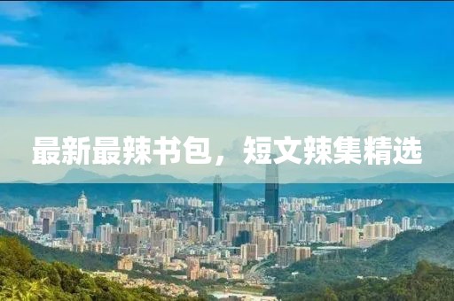 最新最辣书包，短文辣集精选