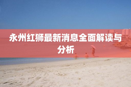 永州红狮最新消息全面解读与分析
