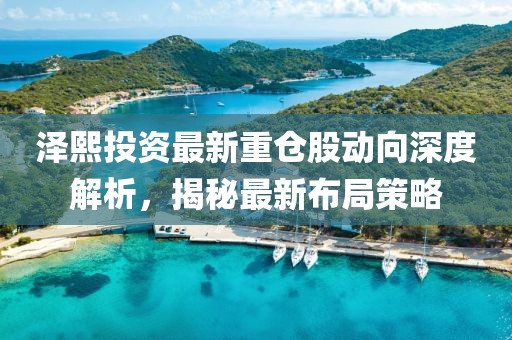 泽熙投资最新重仓股动向深度解析，揭秘最新布局策略