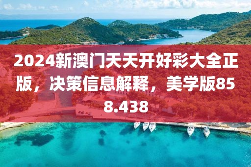 2024新澳门天天开好彩大全正版，决策信息解释，美学版858.438