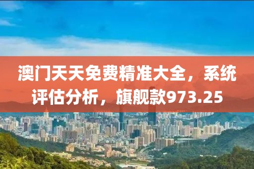 澳门天天免费精准大全，系统评估分析，旗舰款973.25