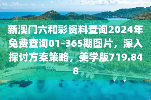 新澳门六和彩资料查询2024年免费查询01-365期图片，深入探讨方案策略，美学版719.848