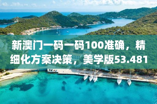 新澳门一码一码100准确，精细化方案决策，美学版53.481
