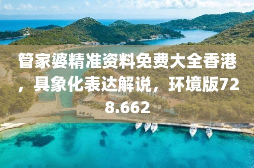 管家婆精准资料免费大全香港，具象化表达解说，环境版728.662