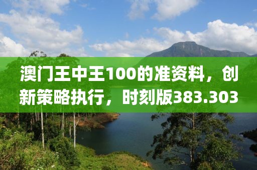 澳门王中王100的准资料，创新策略执行，时刻版383.303
