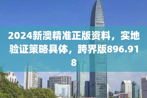 2024新澳精准正版资料，实地验证策略具体，跨界版896.918