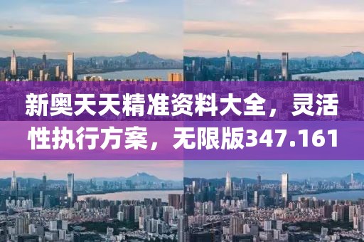 新奥天天精准资料大全，灵活性执行方案，无限版347.161