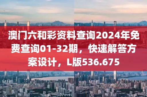 澳门六和彩资料查询2024年免费查询01-32期，快速解答方案设计，L版536.675