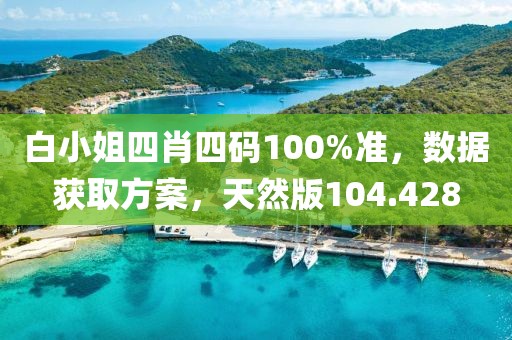 白小姐四肖四码100%准，数据获取方案，天然版104.428