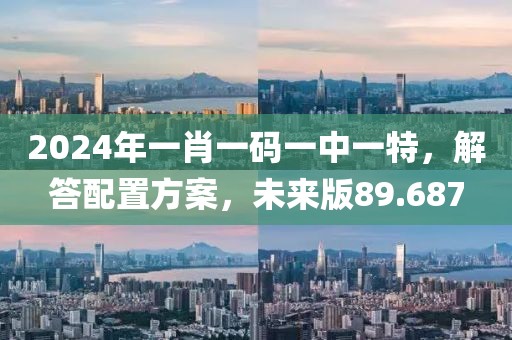 2024年一肖一码一中一特，解答配置方案，未来版89.687