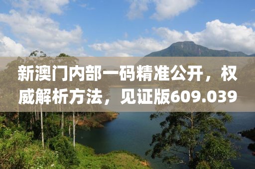 新澳门内部一码精准公开，权威解析方法，见证版609.039