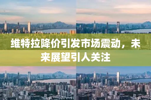 维特拉降价引发市场震动，未来展望引人关注