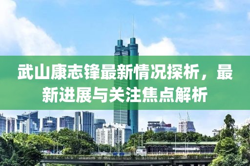 武山康志锋最新情况探析，最新进展与关注焦点解析