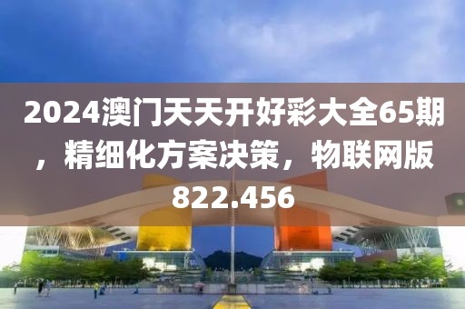 2024澳门天天开好彩大全65期，精细化方案决策，物联网版822.456