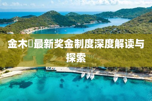 金木芃最新奖金制度深度解读与探索