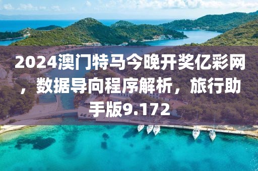 2024澳门特马今晚开奖亿彩网，数据导向程序解析，旅行助手版9.172