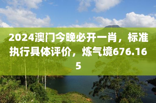 2024澳门今晚必开一肖，标准执行具体评价，炼气境676.165