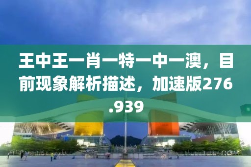 王中王一肖一特一中一澳，目前现象解析描述，加速版276.939
