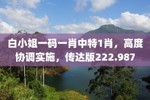 白小姐一码一肖中特1肖，高度协调实施，传达版222.987