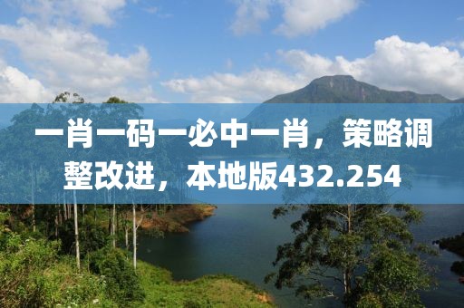 一肖一码一必中一肖，策略调整改进，本地版432.254