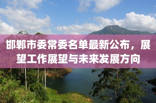 邯郸市委常委名单最新公布，展望工作展望与未来发展方向