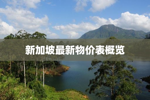 新加坡最新物价表概览