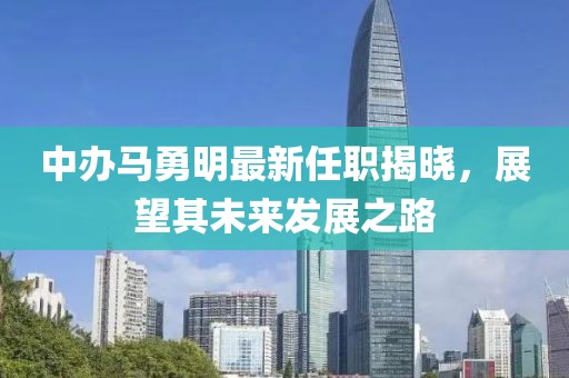 中办马勇明最新任职揭晓，展望其未来发展之路