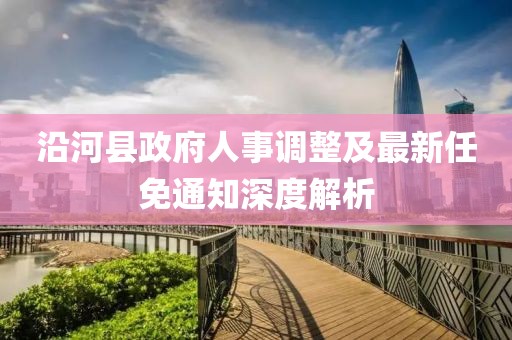 沿河县政府人事调整及最新任免通知深度解析