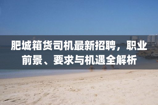 肥城箱货司机最新招聘，职业前景、要求与机遇全解析