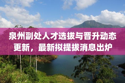 泉州副处人才选拔与晋升动态更新，最新拟提拔消息出炉